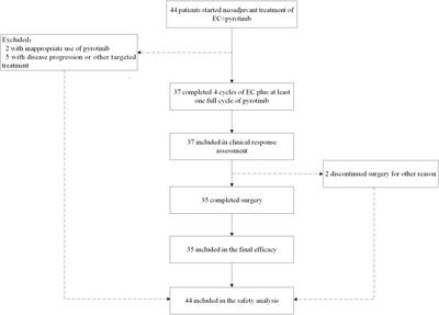 The efficacy and safety of epirubicin and cyclophosphamide combined with pyrotinib in neoadjuvant treatment for HER2-positive breast cancer: A real-world study